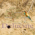 delucine-IMG 3156