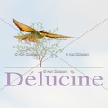 delucine-IMG 3187
