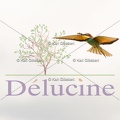 delucine-IMG 3503