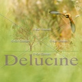 delucine-IMG 2837
