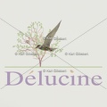 delucine-IMG 7682