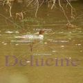delucine-IMG 4246