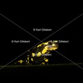 karl-gillebert-salamandre-tachetee-2-5