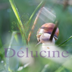 Mollusques