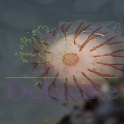 Méduses