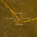 Karl-Gillebert karl-Rainette-verte-Hyla-arborea-4122