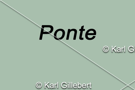 ponte
